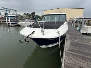 Thumbnail von Sea Ray 320 Sundancer Outboard