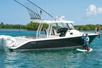 Thumbnail von Pursuit S 358