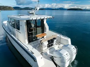 Thumbnail von Nimbus C11 RYLEA ROSE