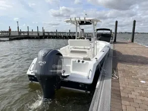 Thumbnail von Sea Ray Sundancer 270