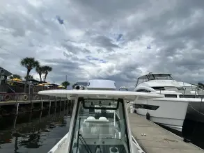 Thumbnail von Boston Whaler 280 Dauntless