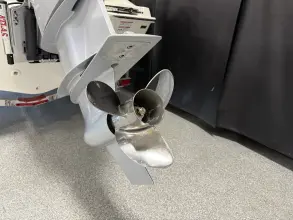 Thumbnail von Boston Whaler 250 Dauntless