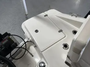 Thumbnail von Boston Whaler 250 Dauntless