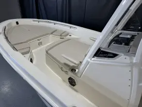Thumbnail von Boston Whaler 250 Dauntless