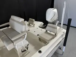 Thumbnail von Boston Whaler 250 Dauntless