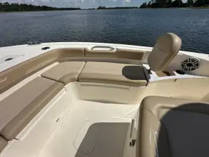 Thumbnail von Scout 261 XSS