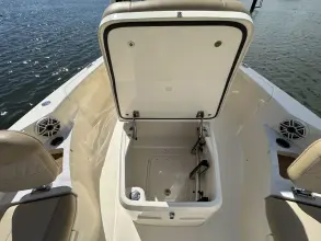 Thumbnail von Scout 261 XSS