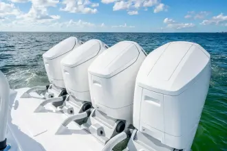 Thumbnail von Hcb 48 Campeon