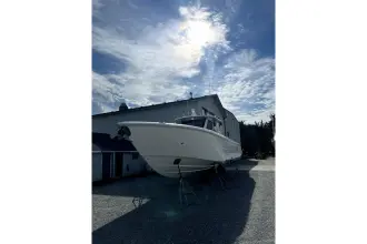 Thumbnail von Solace 41 CS Game Changer