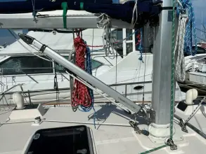 Thumbnail von Island Packet 40 Dream Flower