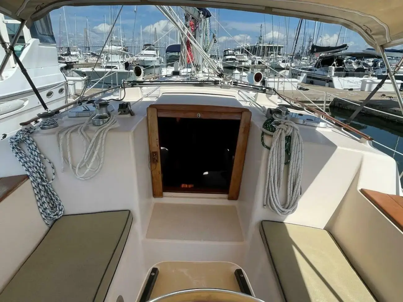 Thumbnail von Island Packet 40 Dream Flower