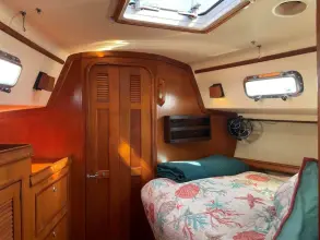 Thumbnail von Island Packet 40 Dream Flower