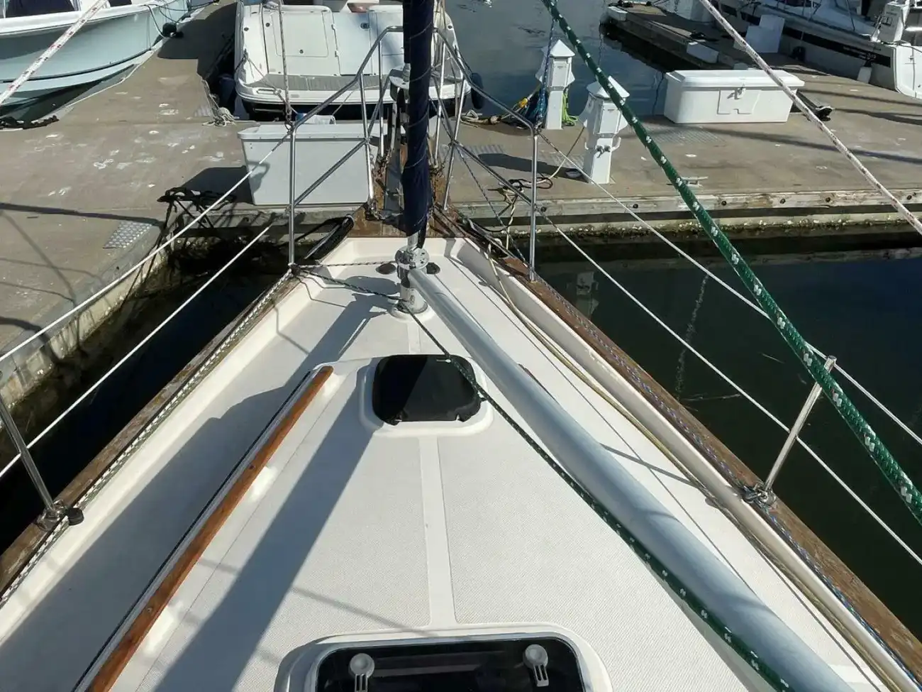 Thumbnail von Island Packet 40 Dream Flower