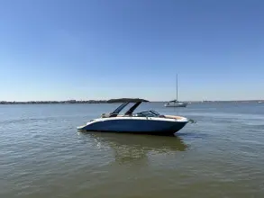 Thumbnail von Sea Ray SDX 290