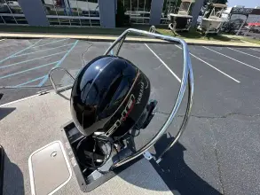 Thumbnail von Bennington Fishtoon 22S