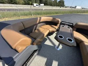 Thumbnail von Bennington Fishtoon 22S