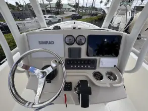 Thumbnail von Boston Whaler 220 Dauntless