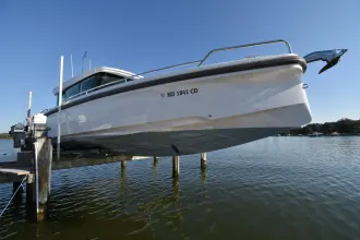 Thumbnail von Axopar 37 XC Cross Cabin Sundog