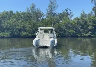 Thumbnail von World Cat 296 DC