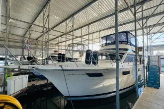 Thumbnail von Californian 48 Motor Yacht