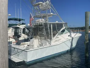 Thumbnail von Cabo 31 Express Legacy