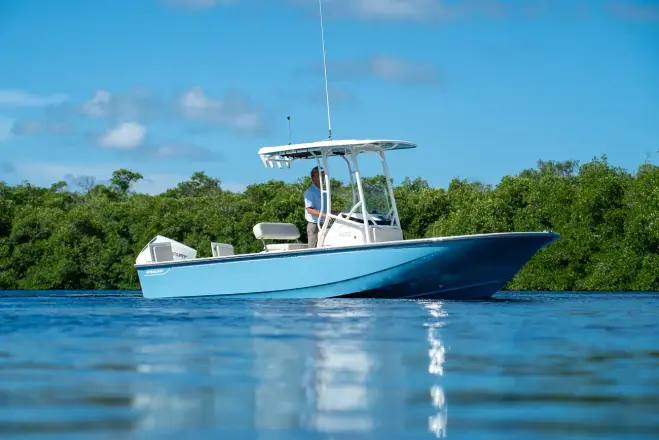 Boston Whaler 210 Montauk