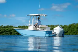 Thumbnail von Boston Whaler 210 Montauk