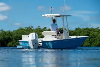 Thumbnail von Boston Whaler 210 Montauk