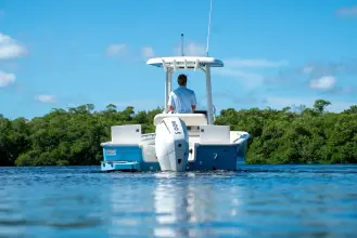 Thumbnail von Boston Whaler 210 Montauk