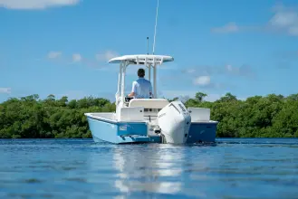 Thumbnail von Boston Whaler 210 Montauk