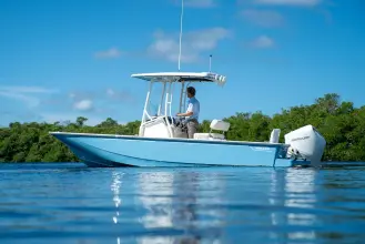 Thumbnail von Boston Whaler 210 Montauk