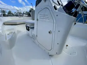 Thumbnail von Boston Whaler 170 Montauk