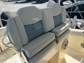 Thumbnail von Scout 260 LXF