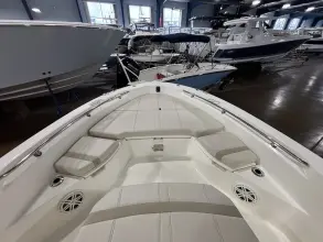 Thumbnail von Boston Whaler 250 Dauntless