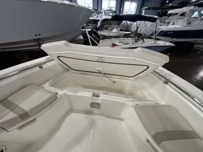 Thumbnail von Boston Whaler 250 Dauntless