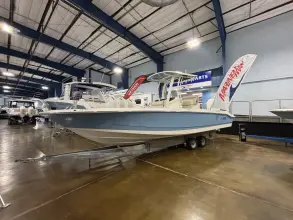 Thumbnail von Boston Whaler 250 Dauntless