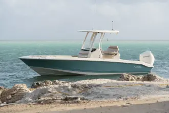 Thumbnail von Boston Whaler 250 Dauntless