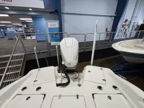 Thumbnail von Boston Whaler 250 Dauntless