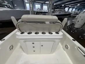Thumbnail von Boston Whaler 250 Dauntless