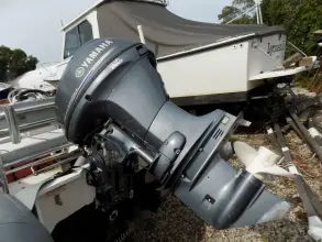 Thumbnail von Zodiac Open 4.2