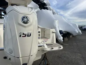 Thumbnail von Scout 215 XSF