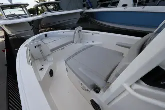 Thumbnail von Boston Whaler 250 Dauntless