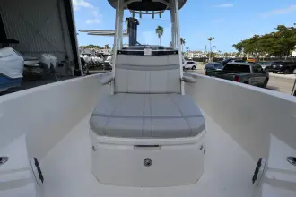 Thumbnail von Boston Whaler 250 Dauntless