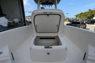 Thumbnail von Boston Whaler 250 Dauntless