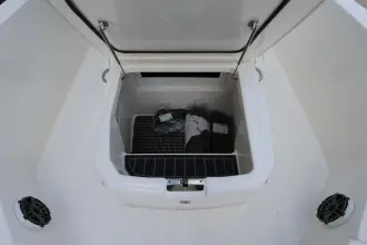 Thumbnail von Boston Whaler 250 Dauntless