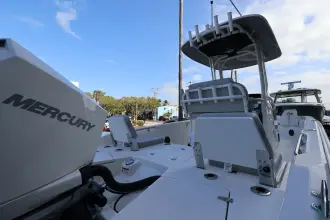 Thumbnail von Boston Whaler 250 Dauntless