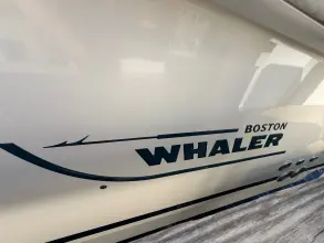 Thumbnail von Boston Whaler 250 Outrage