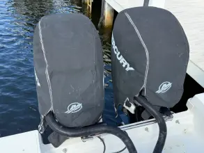 Thumbnail von Boston Whaler 250 Outrage