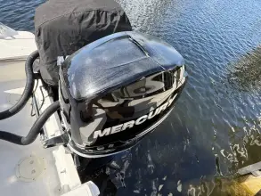 Thumbnail von Boston Whaler 250 Outrage