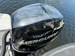 Thumbnail von Boston Whaler 250 Outrage